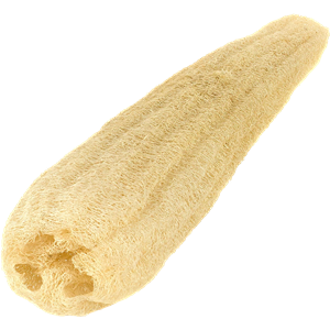 Sponge bath PNG-81427